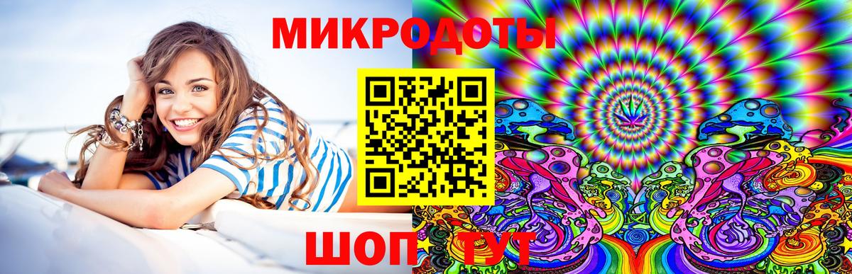 Галлюциногенные грибы Psilocybe Отрадный