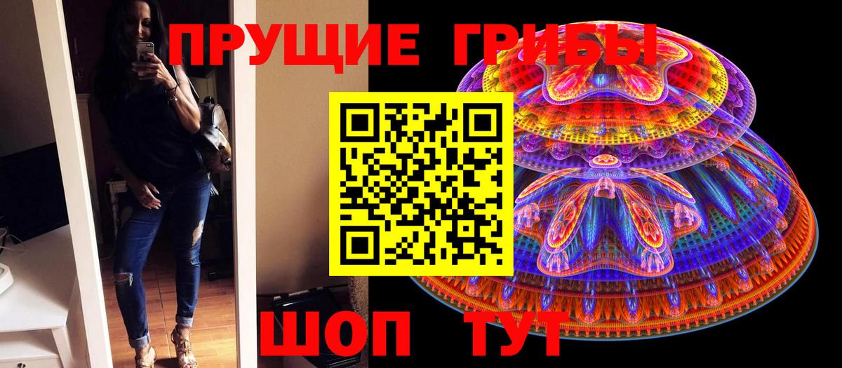Галлюциногенные грибы мицелий  Галлюциногенные грибы прущие грибы  Отрадный  Вход с VPN 